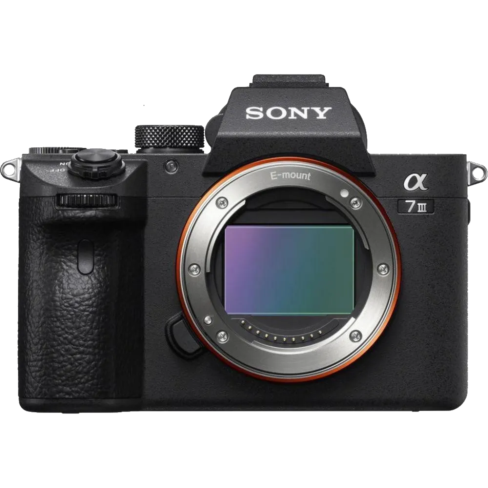 Программный ремонт Sony A7 III