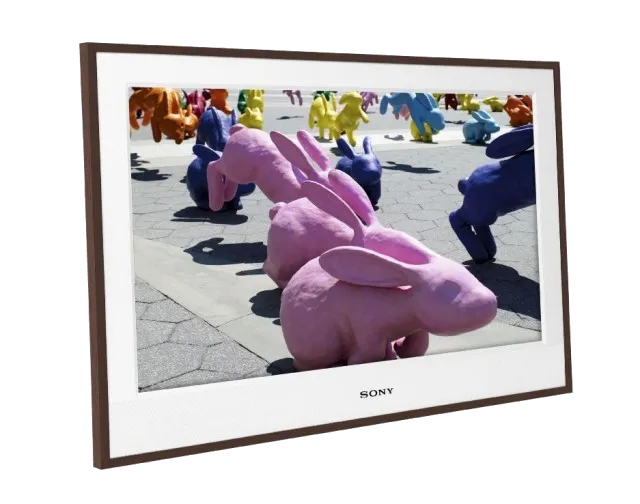 Замена материнской платы Sony KDL-26E4050