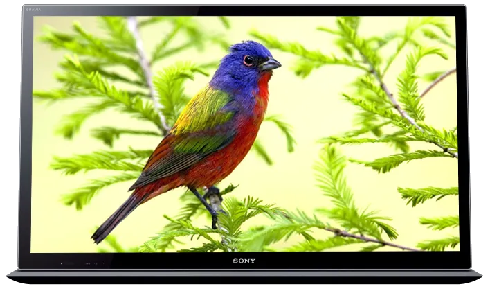 Замена материнской платы Sony KDL-55HX853
