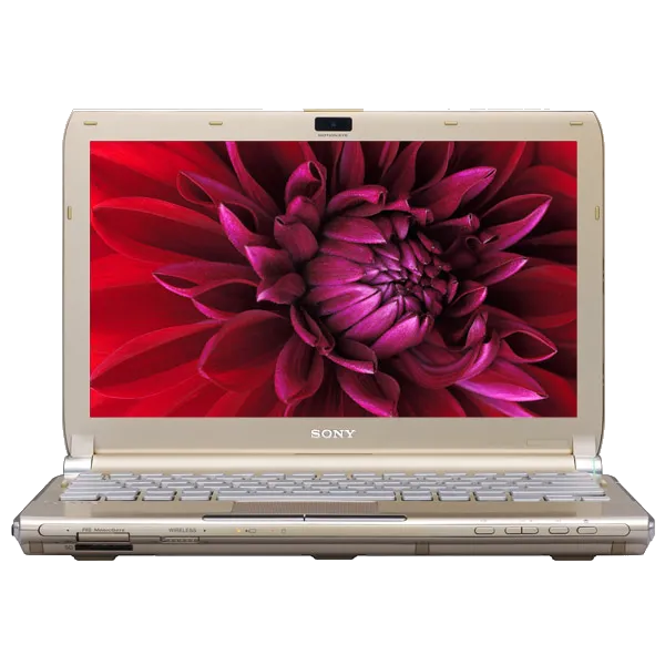 Восстановление данных Sony VAIO VGN-TT4MRG