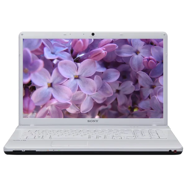 Восстановление данных Sony VAIO VPC-EC2M1R/WI
